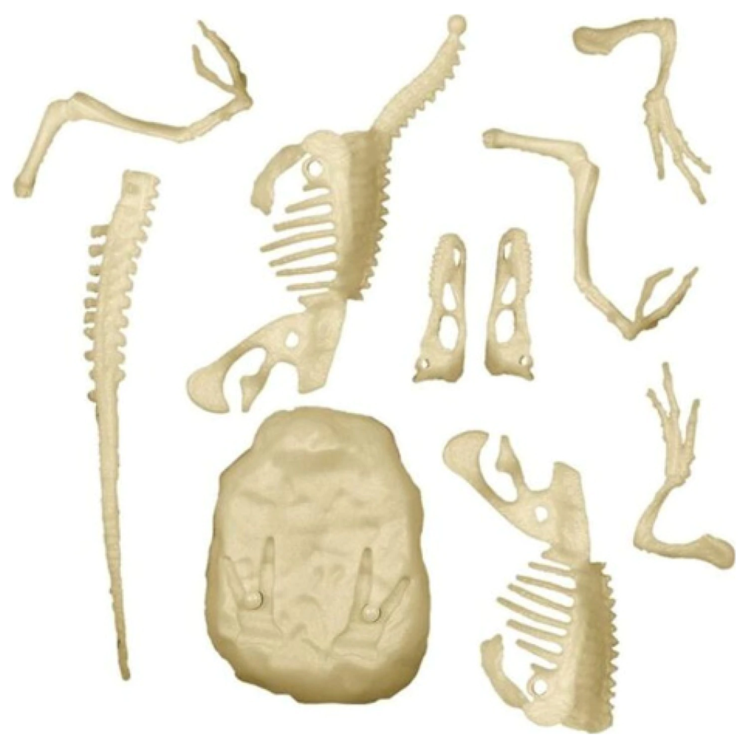 Világító velociraptor Archeo Fun régészeti készlet  termékfotó