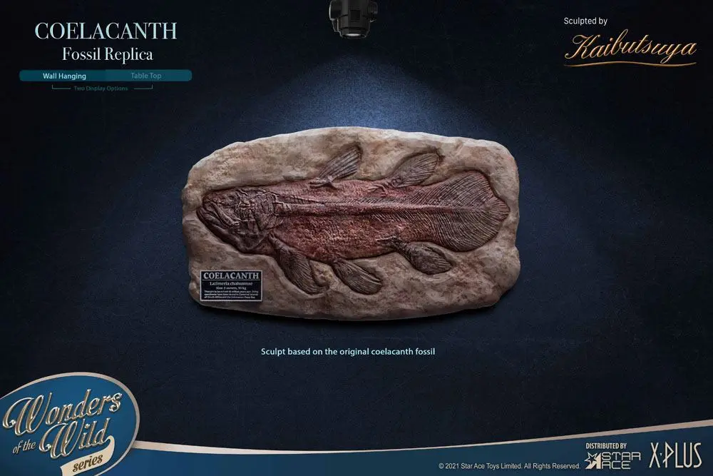 Wonders of the Wild Coelacanth Deluxe Version szobor figura 28 cm termékfotó