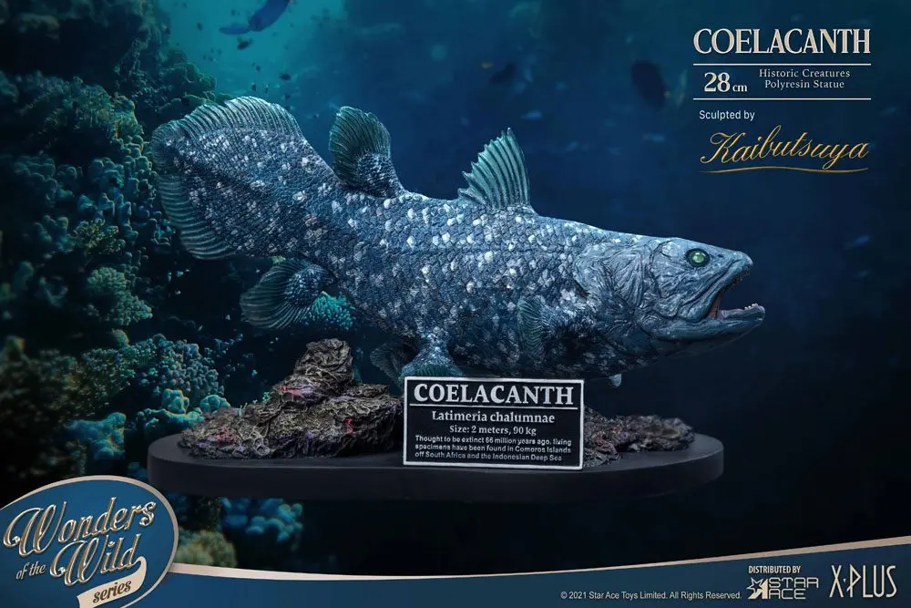 Wonders of the Wild Coelacanth Deluxe Version szobor figura 28 cm termékfotó