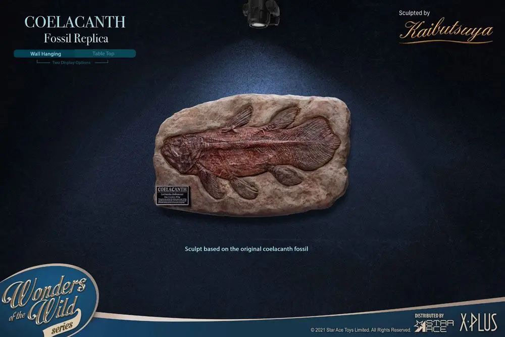 Wonders of the Wild Coelacanth Deluxe Version szobor figura 28 cm termékfotó