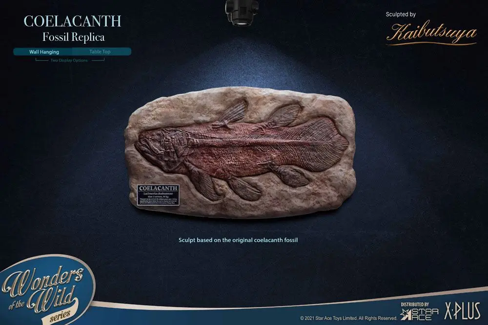 Wonders of the Wild Mini Coelacanth Fossil replika 32 cm termékfotó