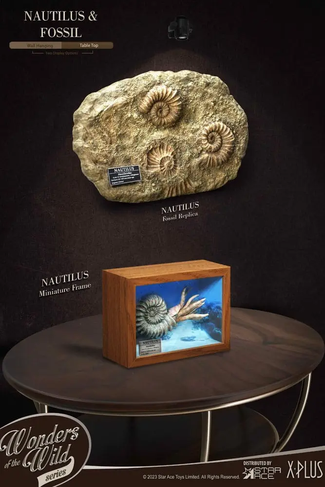 Wonders of the Wild Series 1/1 Nautilus Miniature Frame &amp; Fossil szobor figura 15 cm termékfotó