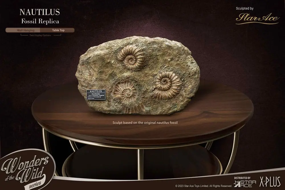 Wonders of the Wild Series 1/1 Nautilus Miniature Frame &amp; Fossil szobor figura 15 cm termékfotó