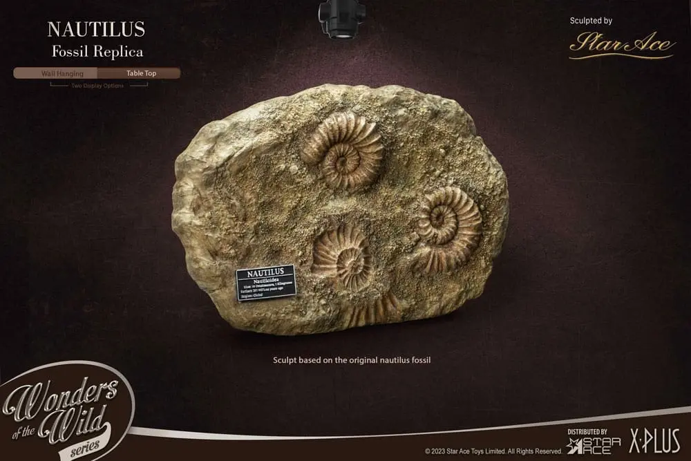 Wonders of the Wild Series 1/1 Nautilus Miniature Frame &amp; Fossil szobor figura 15 cm termékfotó