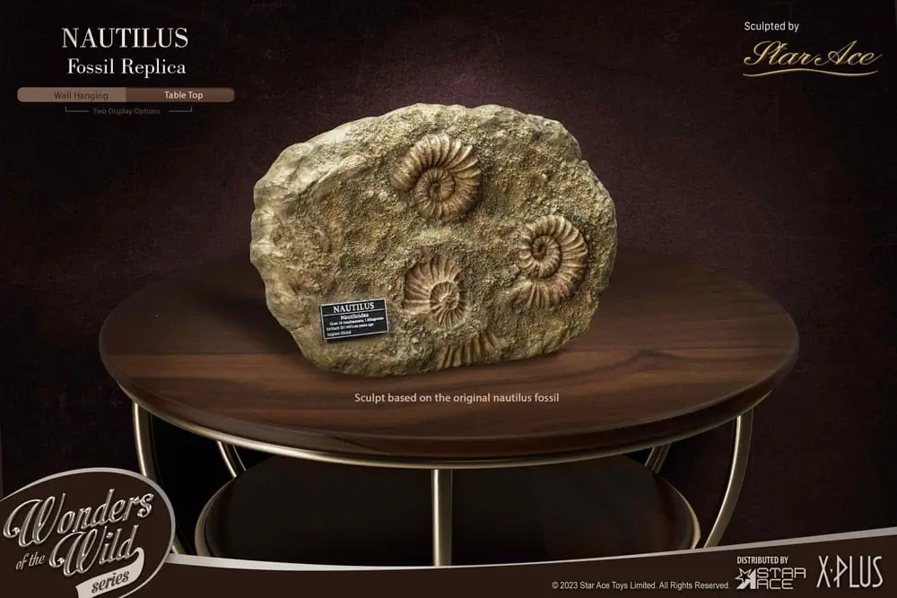 Wonders of the Wild Series 1/1 Nautilus Miniature Frame &amp; Fossil szobor figura 15 cm termékfotó