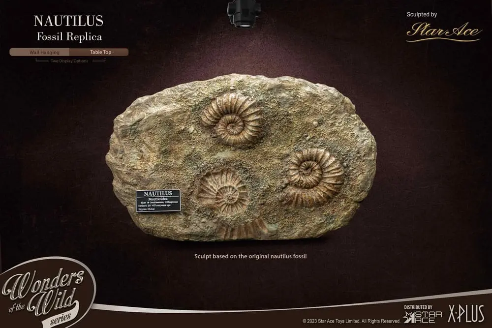Wonders of the Wild Series 1/1 Nautilus Miniature Frame &amp; Fossil szobor figura 15 cm termékfotó