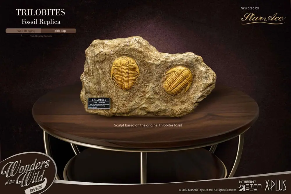 Wonders of the Wild Series 1/1 Trilobites Miniature Frame &amp; Fossil szobor figura 15 cm termékfotó