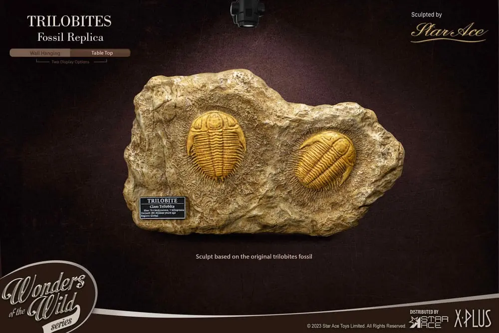 Wonders of the Wild Series 1/1 Trilobites Miniature Frame &amp; Fossil szobor figura 15 cm termékfotó