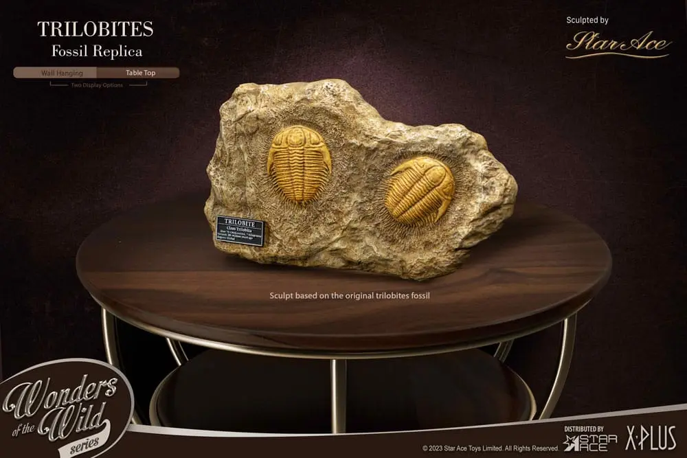 Wonders of the Wild Series 1/1 Trilobites Miniature Frame &amp; Fossil szobor figura 15 cm termékfotó