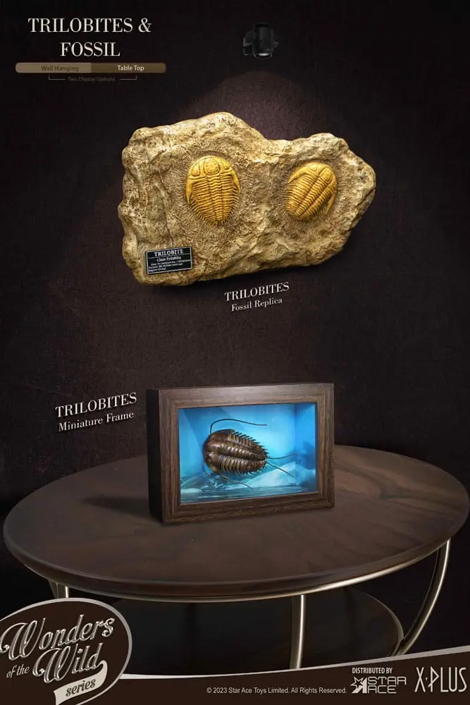 Wonders of the Wild Series 1/1 Trilobites Miniature Frame &amp; Fossil szobor figura 15 cm termékfotó