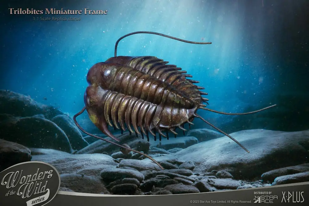 Wonders of the Wild Series 1/1 Trilobites Miniature Frame szobor figura 15 cm termékfotó