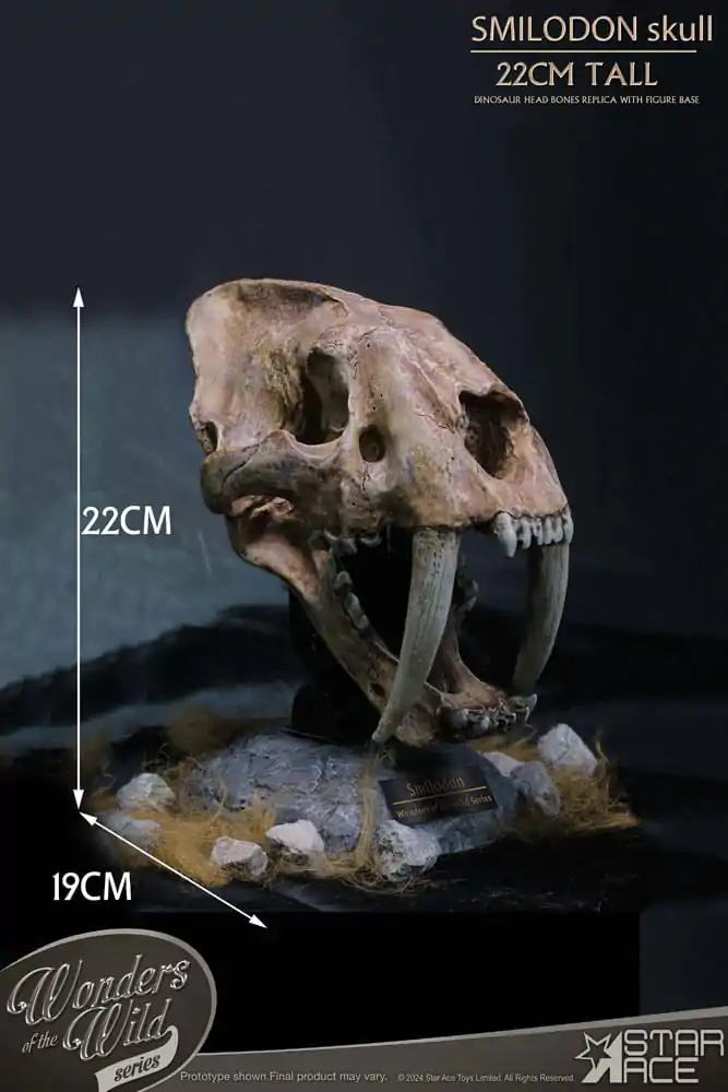 Wonders of the Wild Series Smilodon Skull Fossil szobor figura 22 cm termékfotó