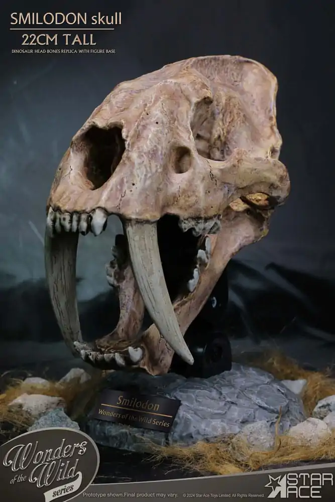 Wonders of the Wild Series Smilodon Skull Fossil szobor figura 22 cm termékfotó