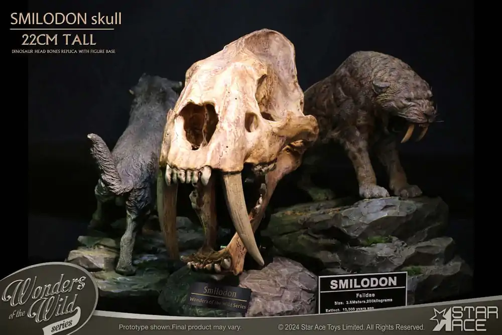 Wonders of the Wild Series Smilodon Skull Fossil szobor figura 22 cm termékfotó