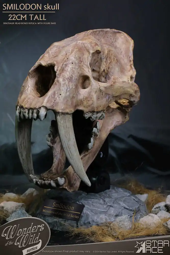 Wonders of the Wild Series Smilodon Skull Fossil szobor figura 22 cm termékfotó