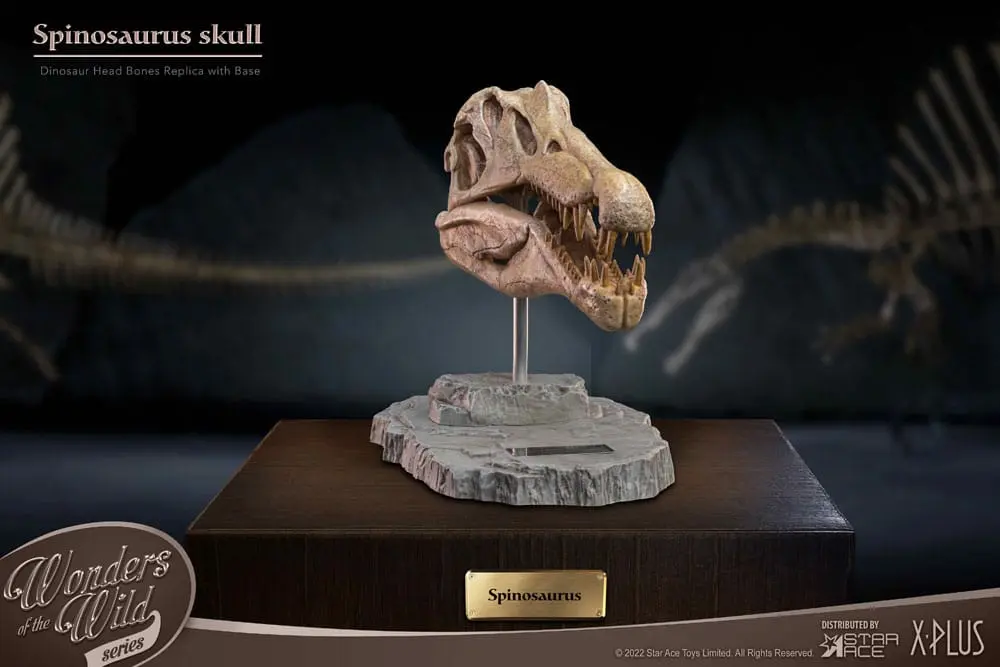 Wonders of the Wild Series Spinosaurus Head Skull szobor figura 30 cm termékfotó