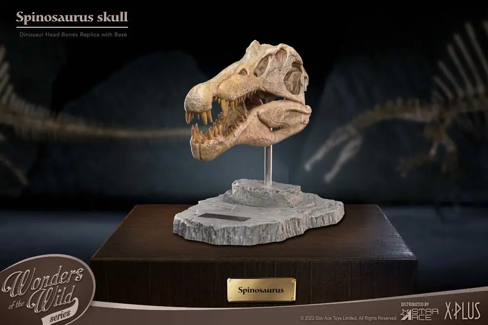 Wonders of the Wild Series Spinosaurus Head Skull szobor figura 30 cm termékfotó