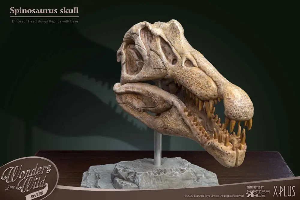 Wonders of the Wild Series Spinosaurus Head Skull szobor figura 30 cm termékfotó