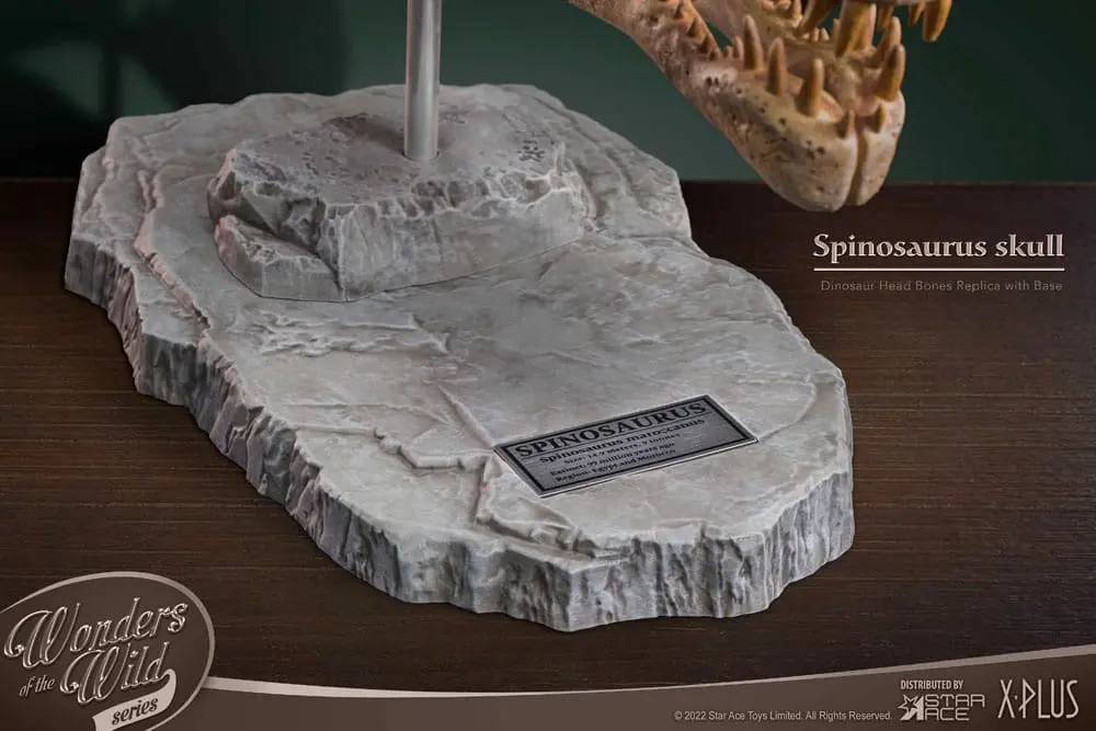 Wonders of the Wild Series Spinosaurus Head Skull szobor figura 30 cm termékfotó