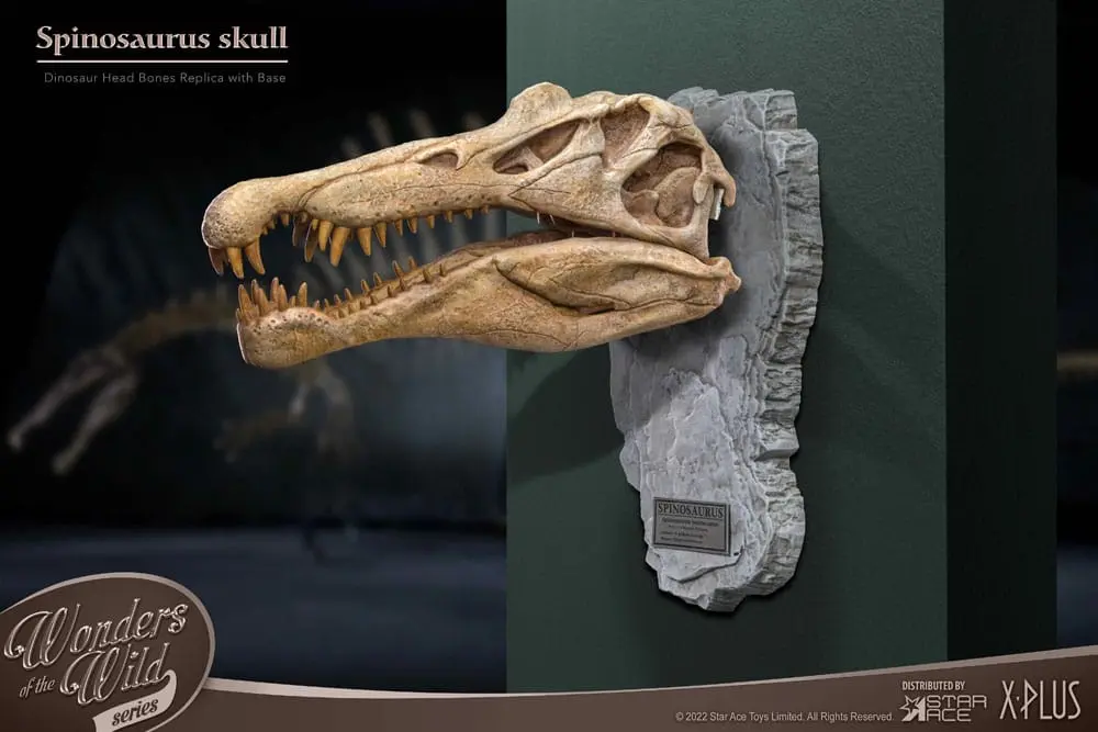 Wonders of the Wild Series Spinosaurus Head Skull szobor figura 30 cm termékfotó