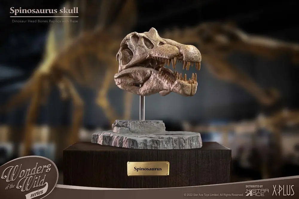 Wonders of the Wild Series Spinosaurus Head Skull szobor figura 30 cm termékfotó
