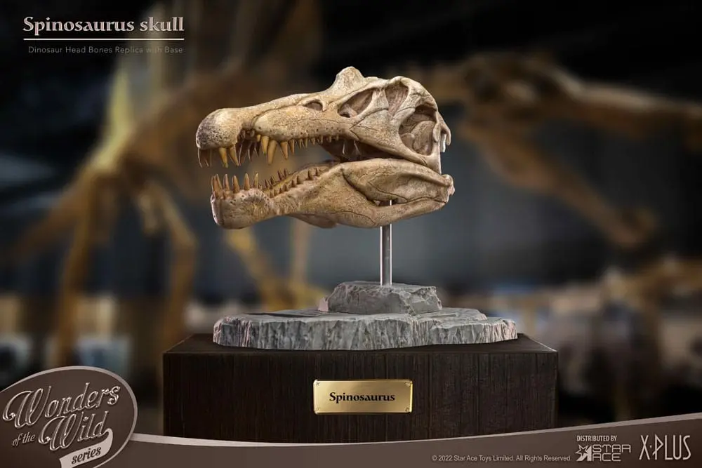 Wonders of the Wild Series Spinosaurus Head Skull szobor figura 30 cm termékfotó