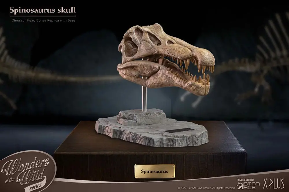 Wonders of the Wild Series Spinosaurus Head Skull szobor figura 30 cm termékfotó
