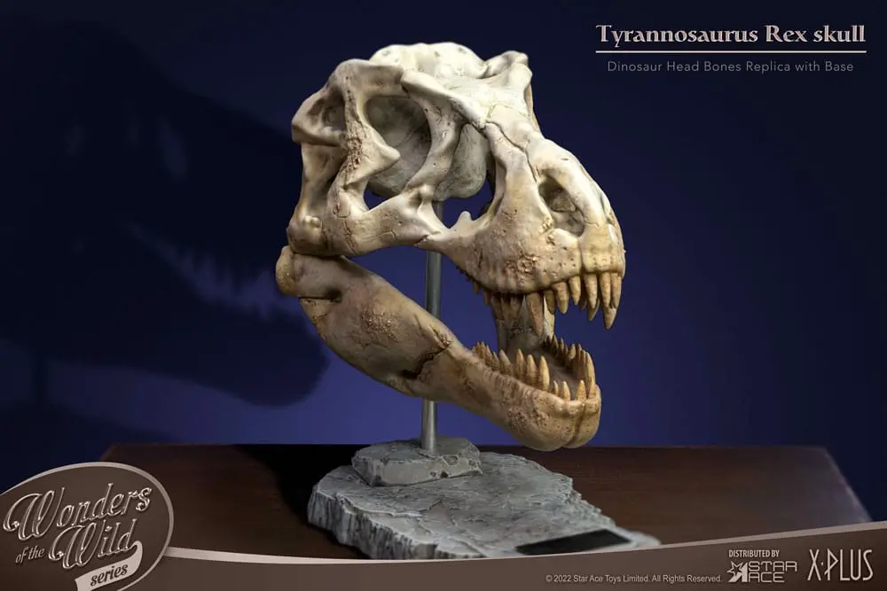 Wonders of the Wild Series T-Rex Head Skull szobor figura 30 cm termékfotó