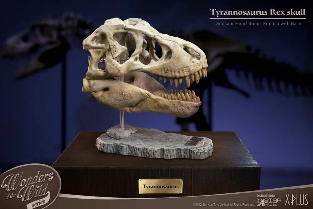 Wonders of the Wild Series T-Rex Head Skull szobor figura 30 cm termékfotó
