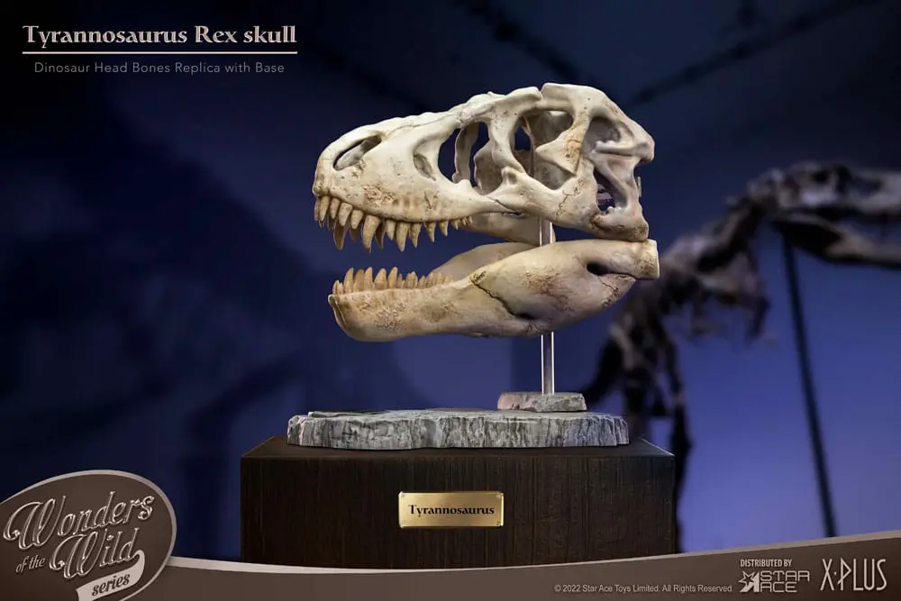 Wonders of the Wild Series T-Rex Head Skull szobor figura 30 cm termékfotó