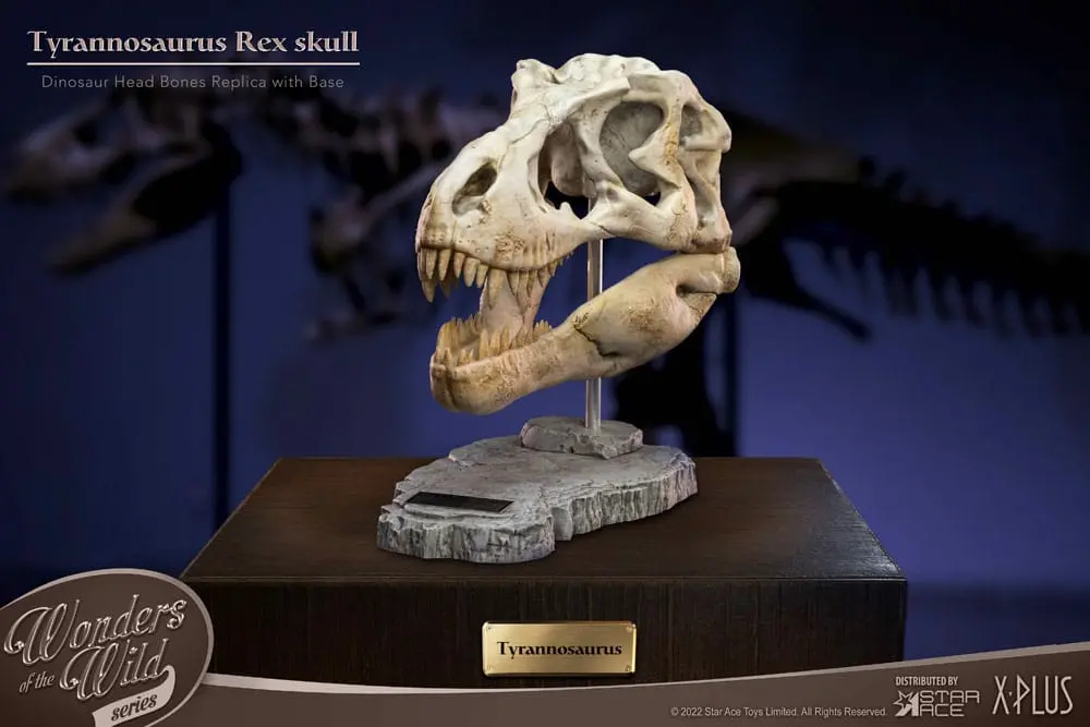 Wonders of the Wild Series T-Rex Head Skull szobor figura 30 cm termékfotó
