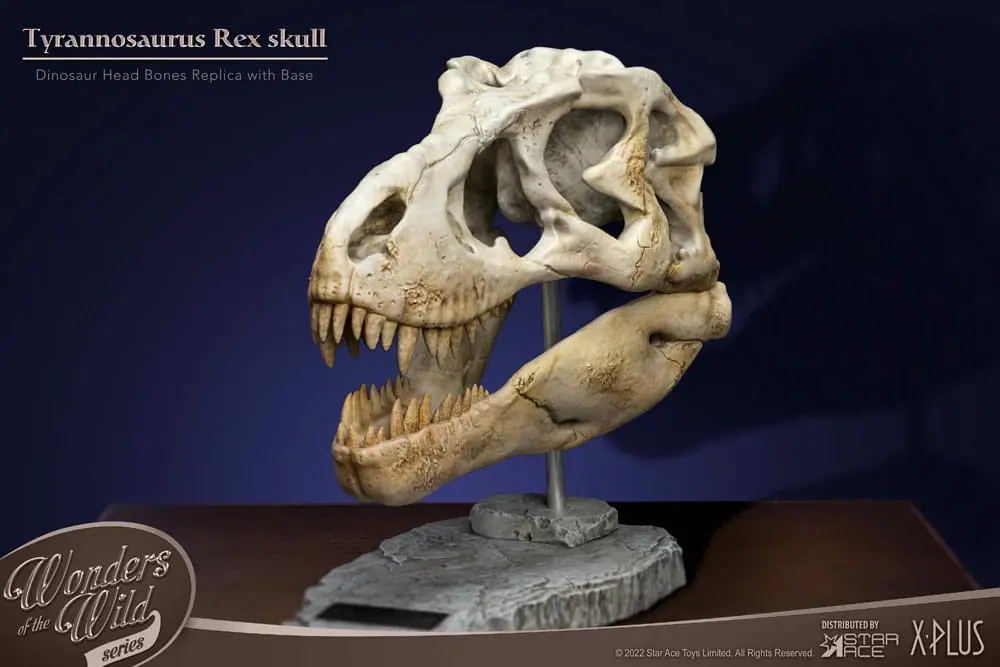 Wonders of the Wild Series T-Rex Head Skull szobor figura 30 cm termékfotó