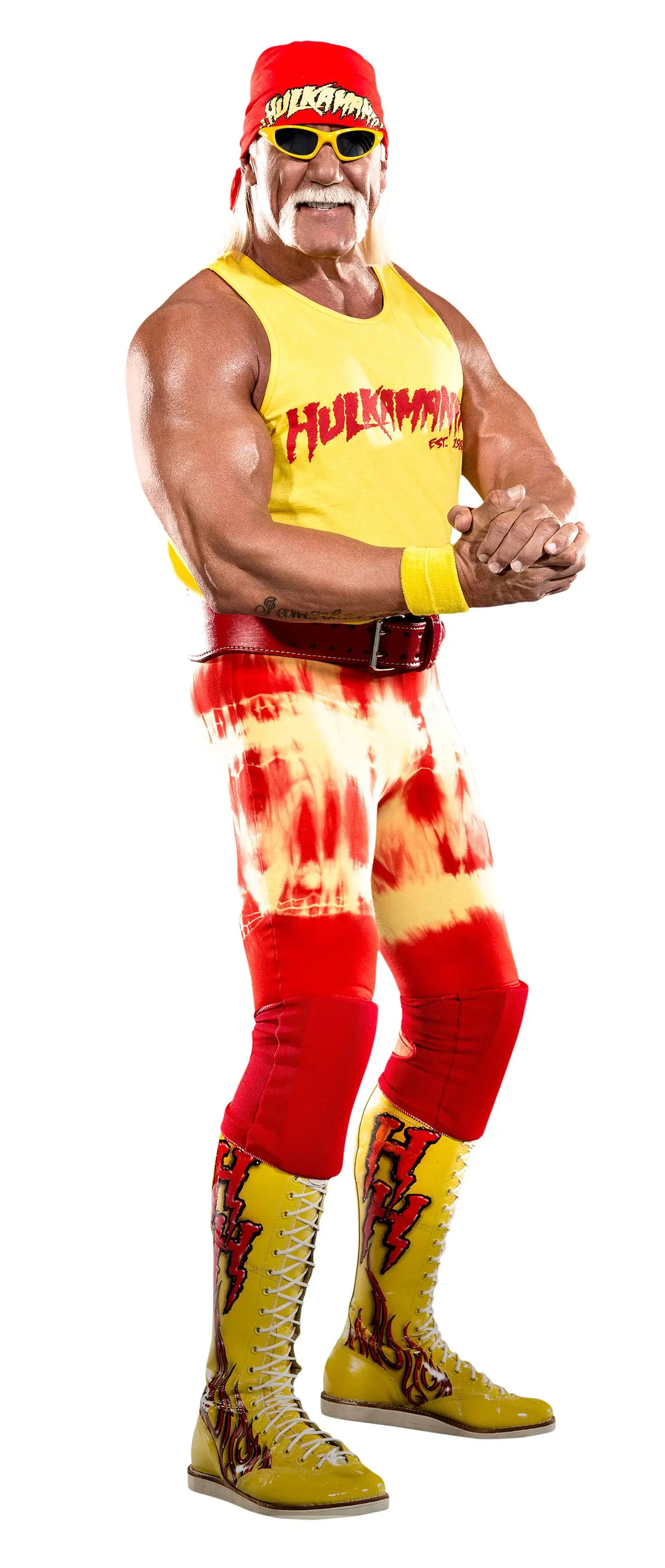WWE HeroClix Expansion Pack: Hulk Hogan termékfotó