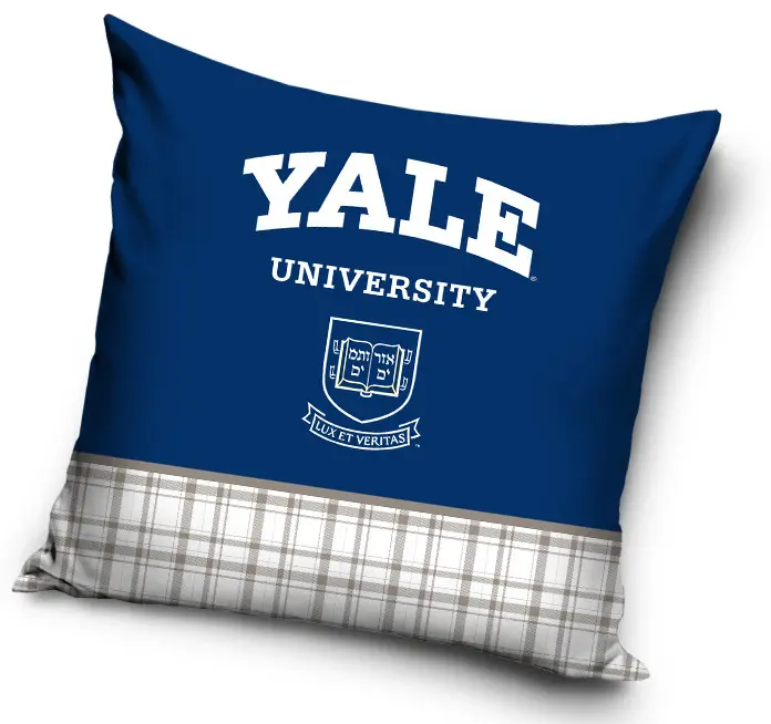 Yale párnahuzat 40*40 cm termékfotó