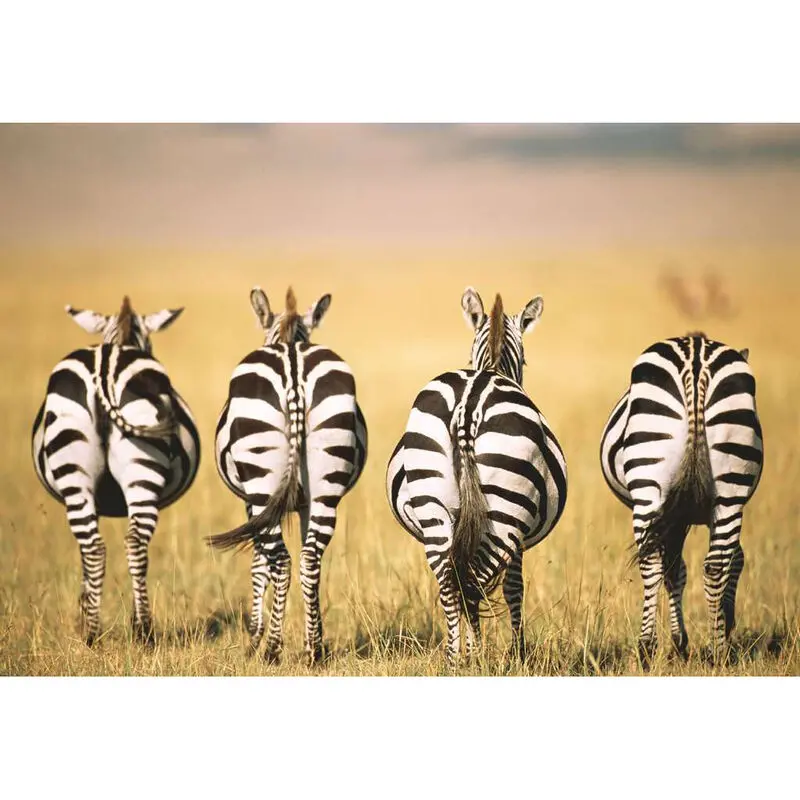 Zebras puzzle 300db-os termékfotó