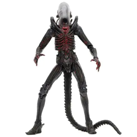 Alien 40. évfordulós Xenomorph Alien figura 18cm termékfotó