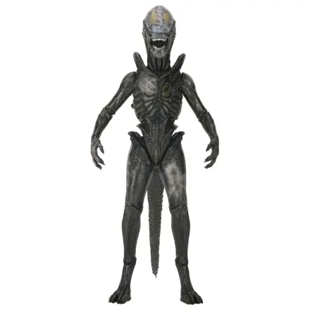 Alien: Earth Ultimate Wendy's Xenomorph akciófigura 18 cm termékfotó