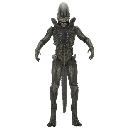Alien: Earth Ultimate Xenomorph akciófigura 18 cm termékfotó