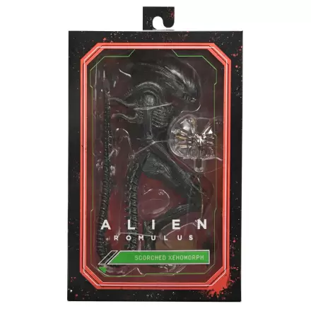 Alien Romulus Scorched Xnomorph Ultimate Figur 23cm termékfotója