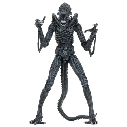 Aliens Ultimate Warrior (1986) Blue akciófigura 23 cm termékfotó