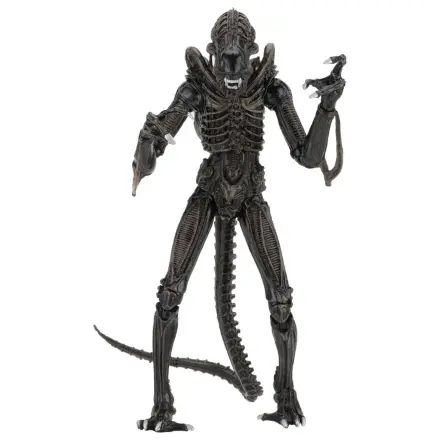 Aliens Ultimate Warrior (1986) Brown akciófigura 23 cm termékfotó