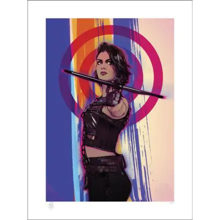 Birds of Prey Art Print Huntress 46 x 61 cm - keretezetlen vászonkép termékfotó