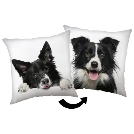 Border Collie párna termékfotó