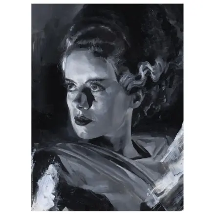Bride of Frankenstein Art Print Bride of Frankenstein by Chris Valentine 41 x 31 cm - keretezetlen vászonkép termékfotó