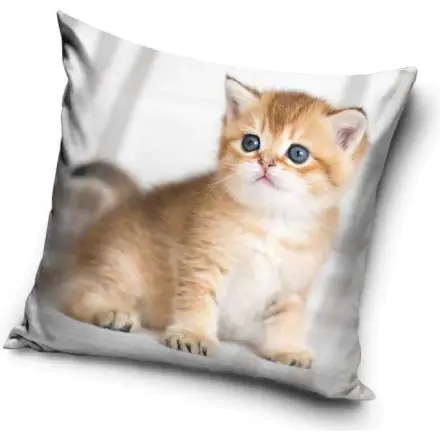 Cicás párnahuzat 40*40 cm termékfotó