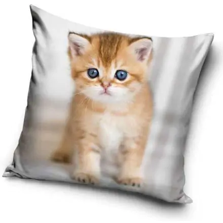 Cicás párnahuzat 40*40 cm termékfotó