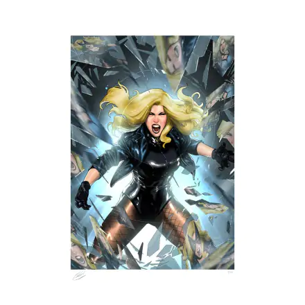 DC Comics Art Print Black Canary 46 x 61 cm - keretezetlen vászonkép termékfotó