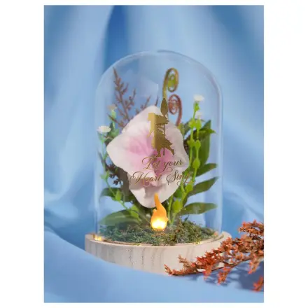 Disney Hercegnők Moana dísznövény hangulatvilágítással termékfotó