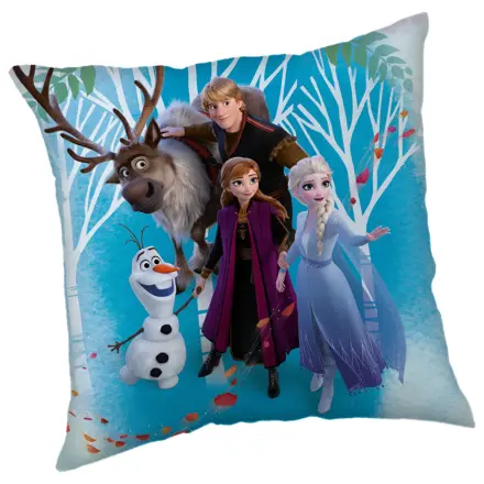 Disney Jégvarázs Family párnahuzat termékfotó