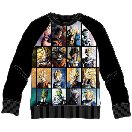 Dragon Ball Characters gyerek pulóver termékfotó